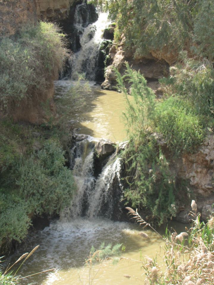 איגרות חוב ממשלתיות – מחדל ממשלת כיפור by Yoged - יגודז