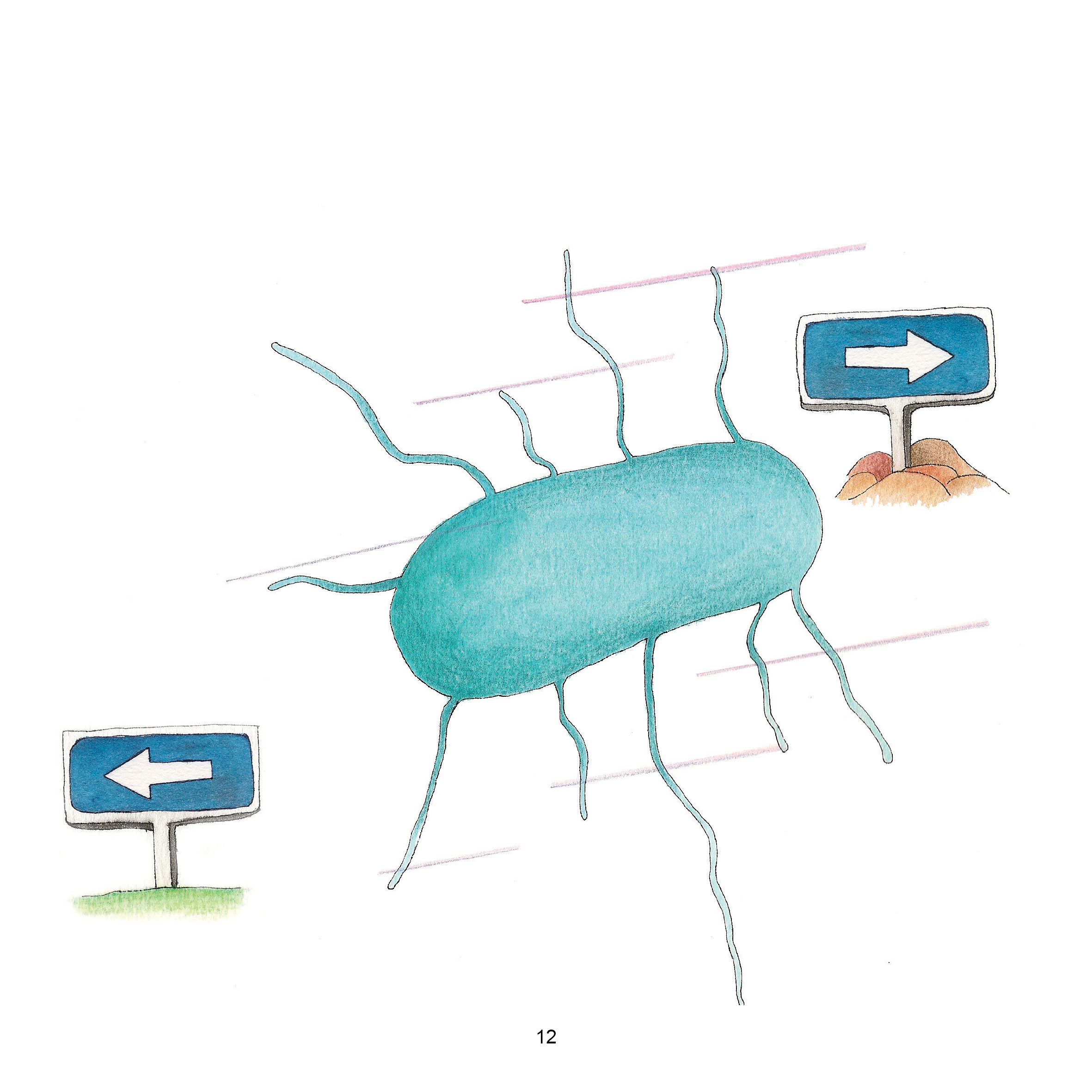 Bacteria Galore by Sunday at Four by Mel Rosenberg by Mel Rosenberg - מל רוזנברג - Illustrated by Tali Niv-Dolinsky - Ourboox.com