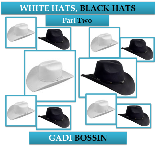 White Hats, Black Hats: Part Two by Gadi Bossin - Ourboox.com