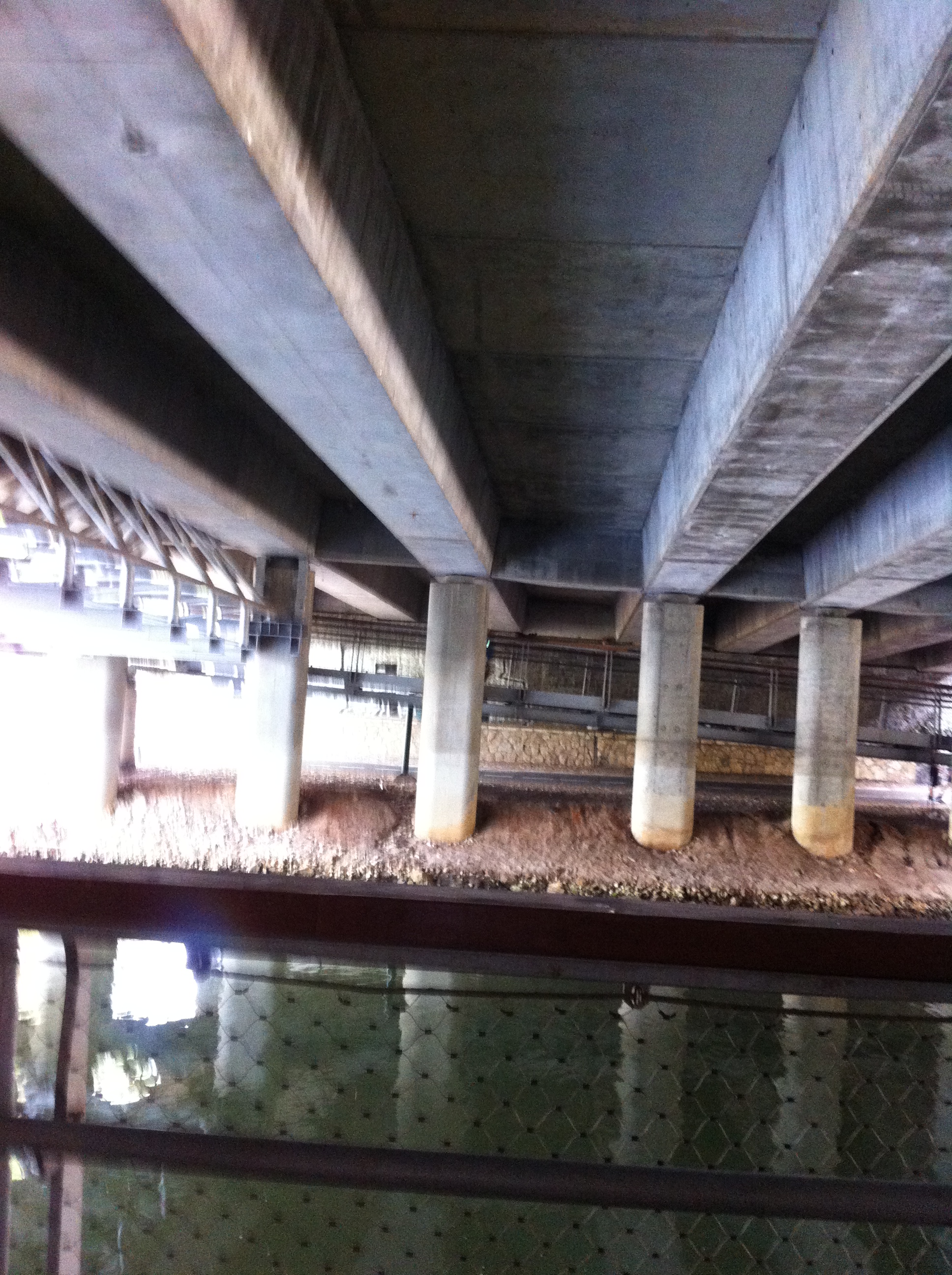 under the Yarkon river bridge