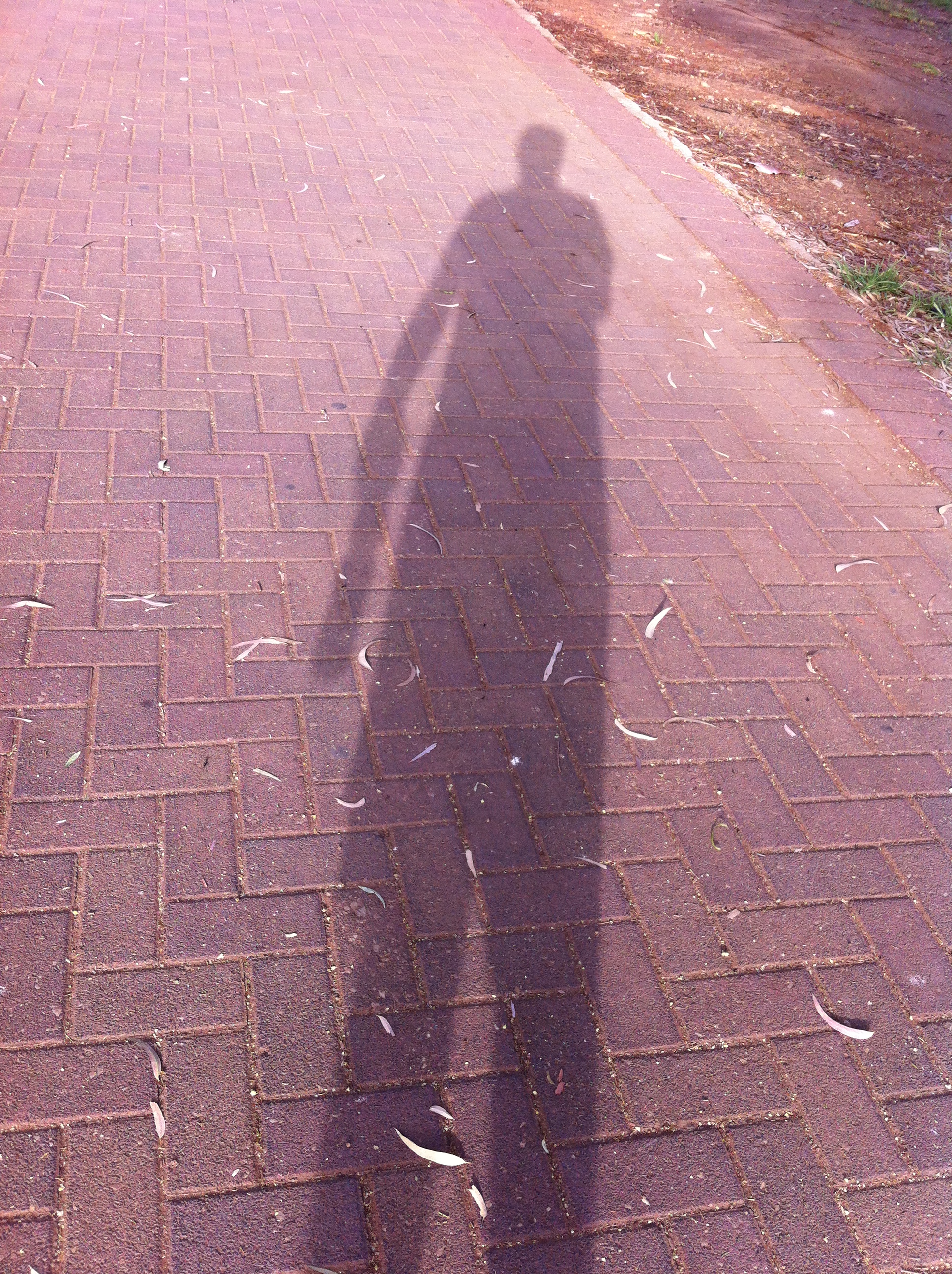 My ominous shadow