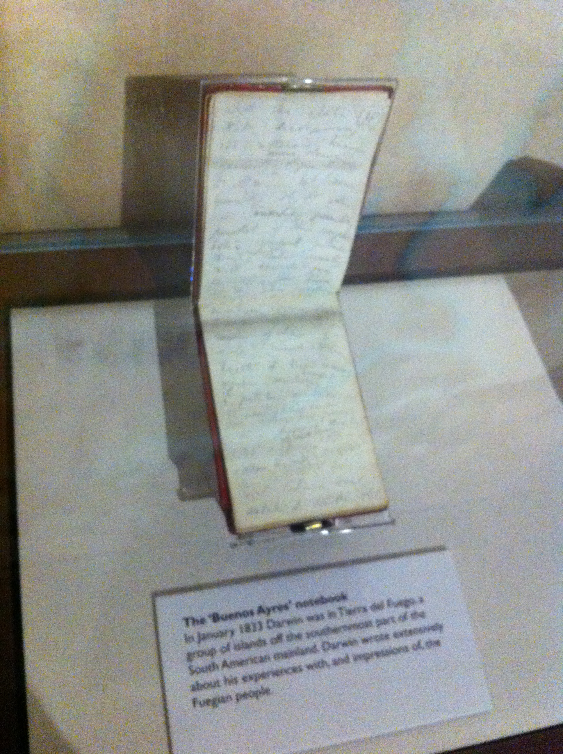 a logbook of Charles Darwin