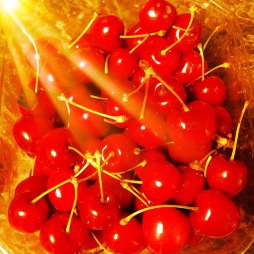 The Miro’s secret   -English version by Sara Dazin - Illustrated by Moshe Dazin . Translated by Guy Dazin - Ourboox.com