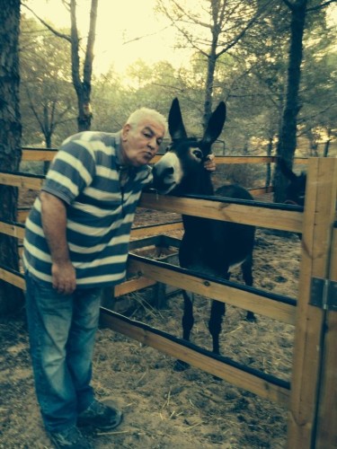 The Miro’s secret   -English version by Sara Dazin - Illustrated by Moshe Dazin . Translated by Guy Dazin - Ourboox.com