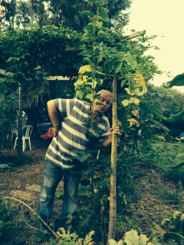 The Miro’s secret   -English version by Sara Dazin - Illustrated by Moshe Dazin . Translated by Guy Dazin - Ourboox.com