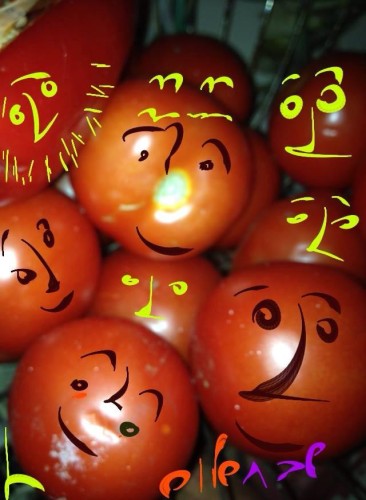 The Miro’s secret   -English version by Sara Dazin - Illustrated by Moshe Dazin . Translated by Guy Dazin - Ourboox.com