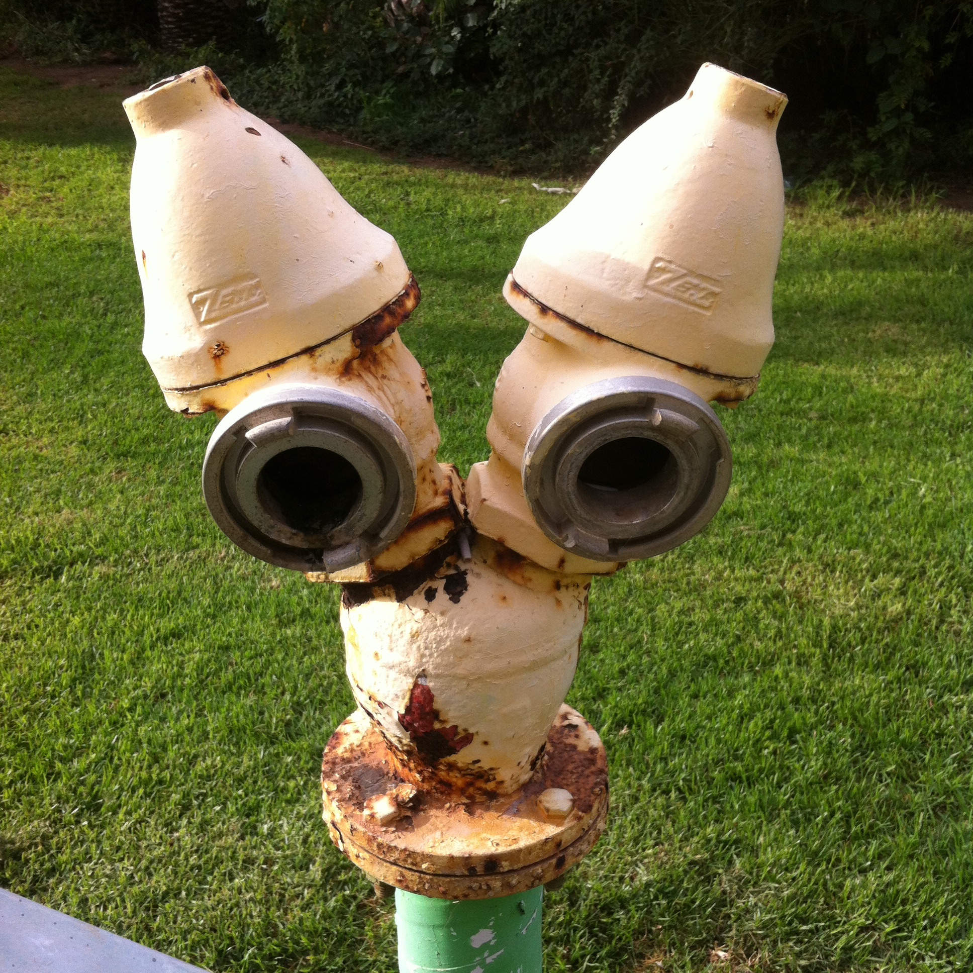 Piven Faces by Mel Rosenberg - מל רוזנברג - Ourboox.com