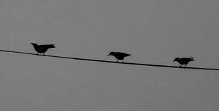 שלושה בני עורב by shirelozer - Illustrated by שיר-אל עוזר - Ourboox.com