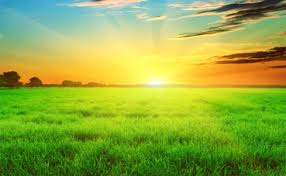 שלושה בני עורב by shirelozer - Illustrated by שיר-אל עוזר - Ourboox.com