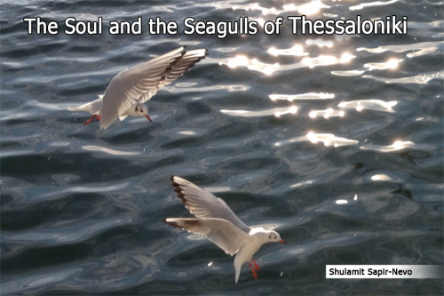 The Soul and the Seagulls of Thessaloniki by Shulamit Sapir-Nevo - Illustrated by Photos by Shulamit Sapir-Nevo - Ourboox.com