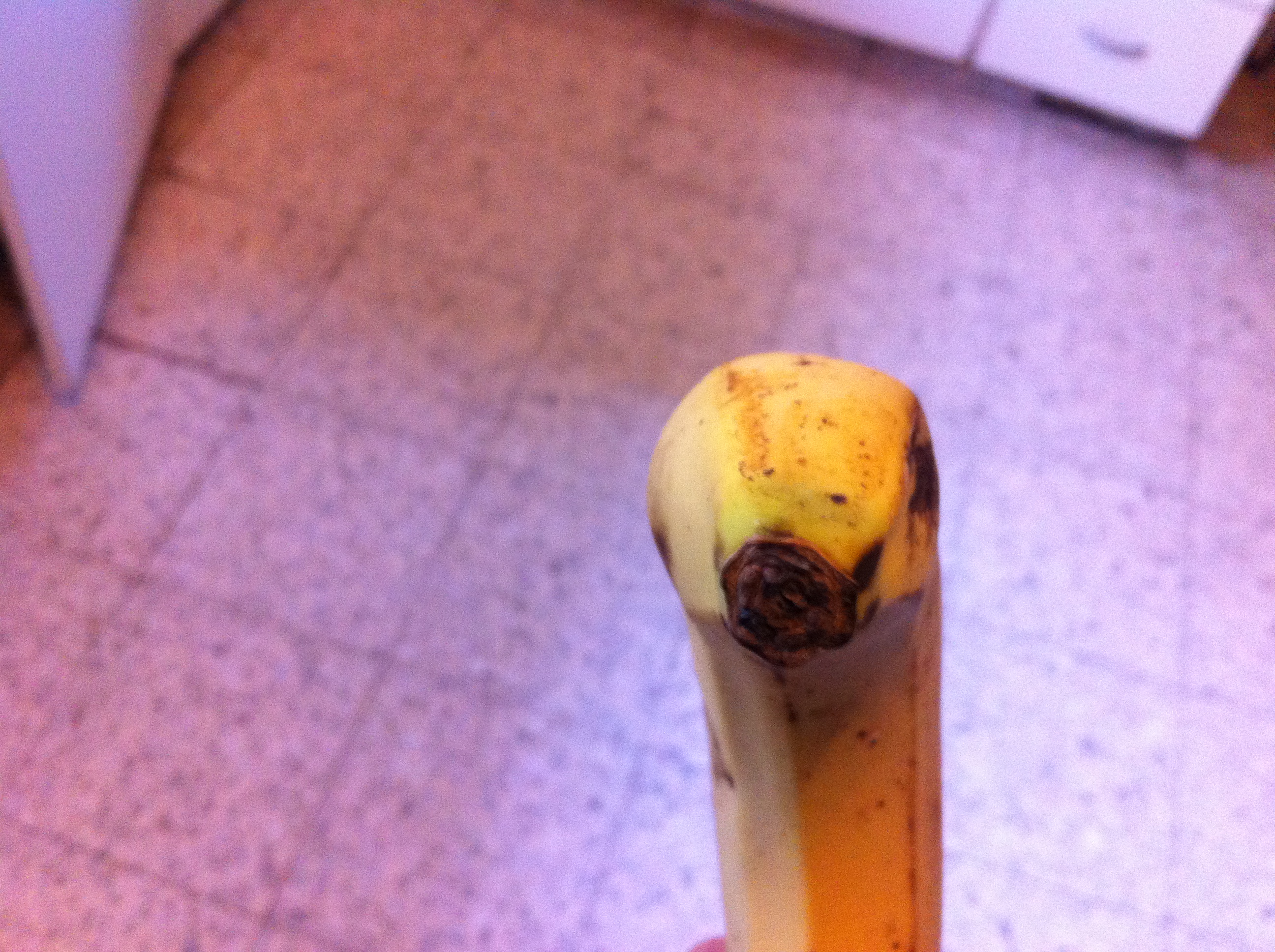 Piven Faces by Mel Rosenberg - מל רוזנברג - Ourboox.com