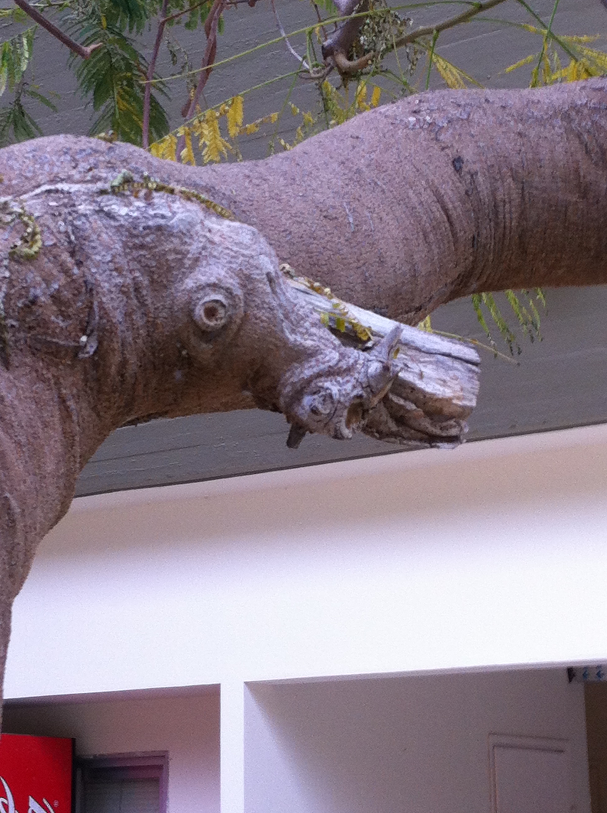 Piven Faces by Mel Rosenberg - מל רוזנברג - Ourboox.com