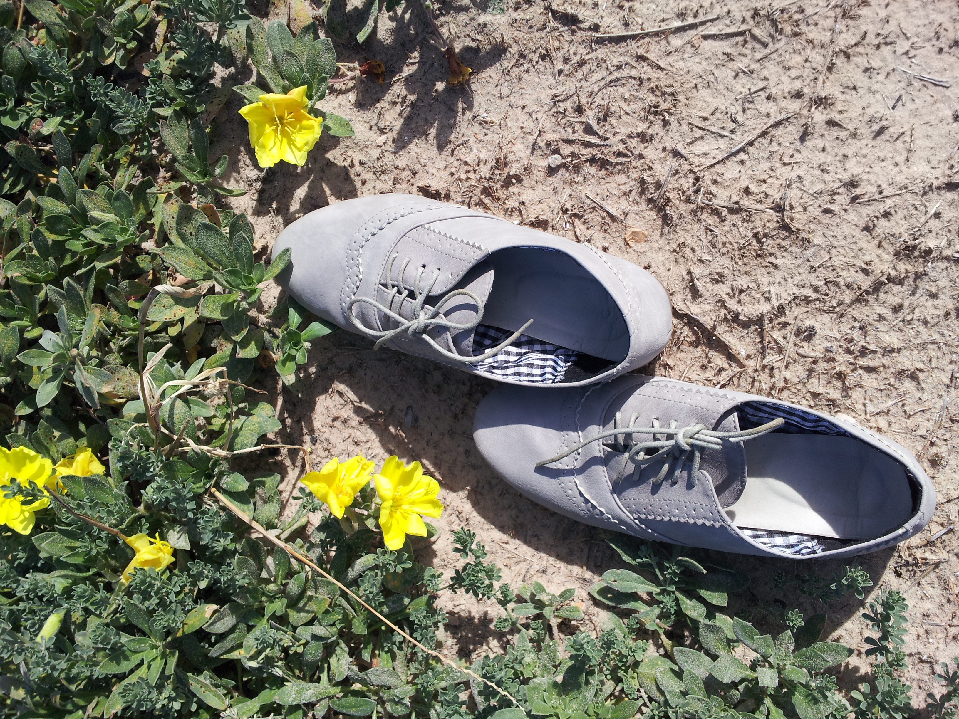 אחת ושתיים by Sigal Magen - Illustrated by צילומים: סיגל מגן - Ourboox.com