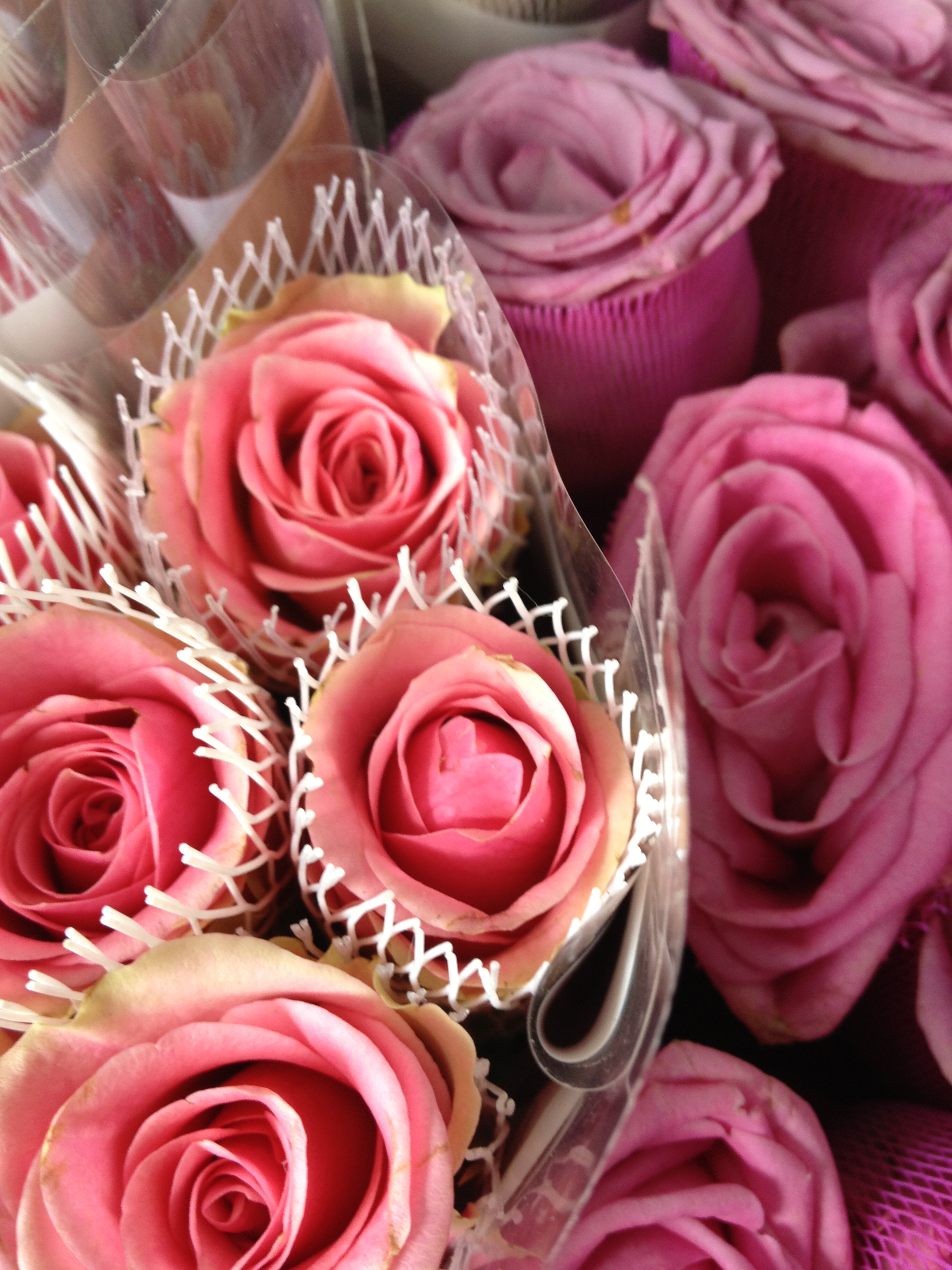 לגעת במילים ובצבעים של יהודית מליק -שירן by Shuli Sapir-Nevo Photo and Motto - Illustrated by Photos by Shulamit Sapir-Nevo - Ourboox.com