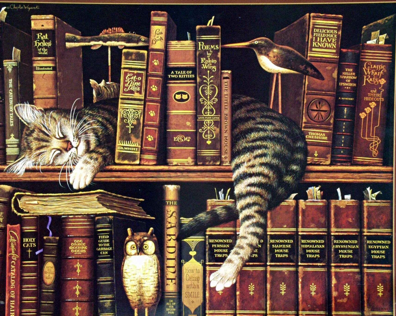 To Library Cats Worldwide by Sara Dazin - Illustrated by Victoria Sara Dazin - Ourboox.com