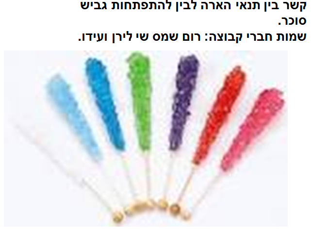 ספר דיגיטלי תהליך החקר השלם שמס רום  שי לירן ועידו by shams safadi - Illustrated by שמס  רום שי לירן ועידו - Ourboox.com