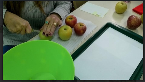 תהליך החקר השלם קבוצת תפוח-מיכל,ענבר,אלמוג,אלון by inbar pollak - Ourboox.com