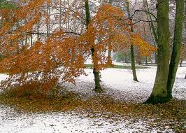 נסיון by yvonnerosenfeld - Ourboox.com