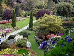 פסח by jaffa - Ourboox.com