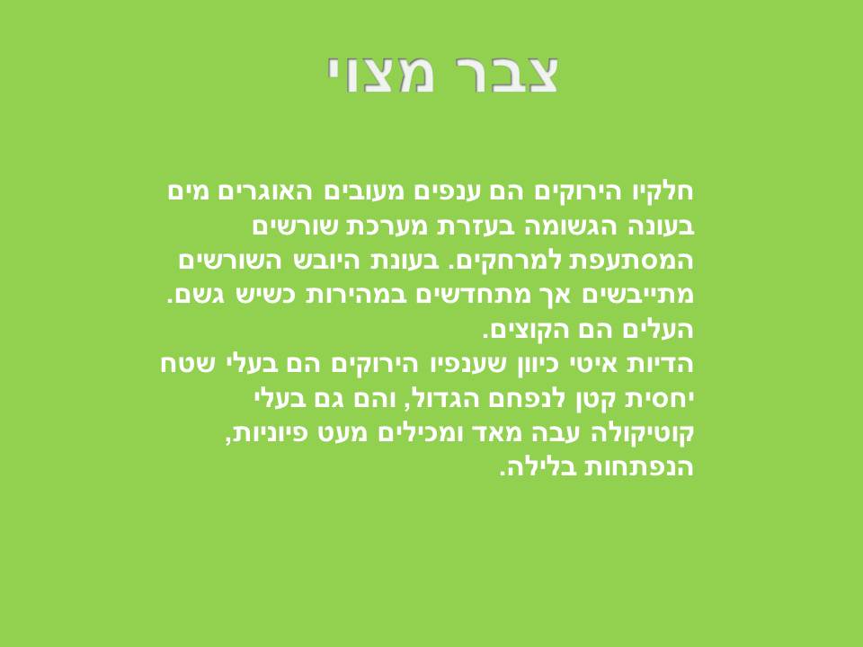 התאמת צמחים לסביבת יובש- קבוצה א by harel trabelsi - Ourboox.com