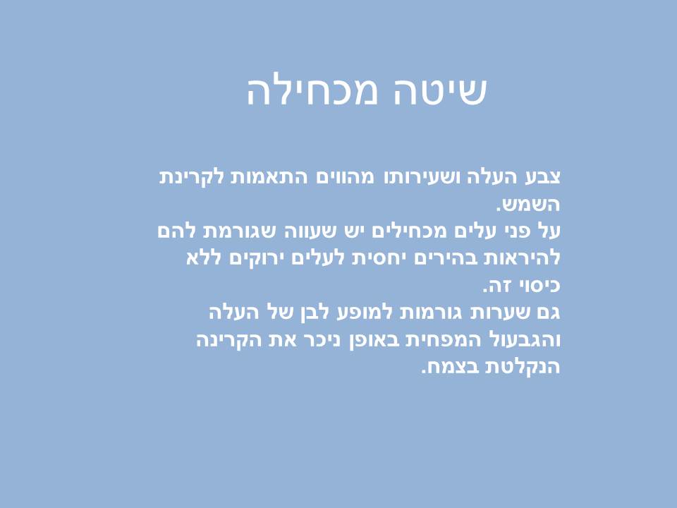 התאמת צמחים לסביבת יובש- קבוצה א by harel trabelsi - Ourboox.com