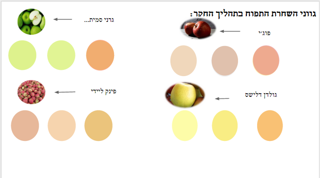 תהליך החקר השלם קבוצת תפוח-מיכל,ענבר,אלמוג,אלון by inbar pollak - Ourboox.com