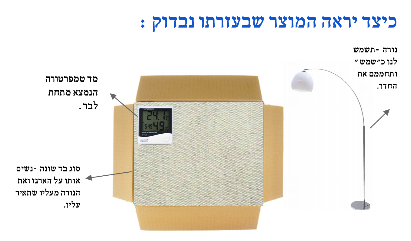 תהליך החקר השלם – ספר דיגיטלי – אדר סתיו אריאל ושירה by stav nagar - Illustrated by אדר סתיו אריאל ושירה  - Ourboox.com
