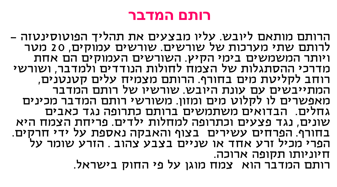 קבוצה ב’ by shiran - Ourboox.com