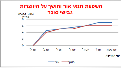 ספר דיגיטלי תהליך החקר השלם שמס רום  שי לירן ועידו by shams safadi - Illustrated by שמס  רום שי לירן ועידו - Ourboox.com