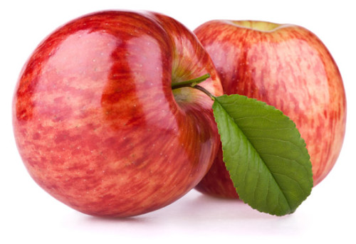 תהליך החקר השלם קבוצת תפוח-מיכל,ענבר,אלמוג,אלון by inbar pollak - Ourboox.com