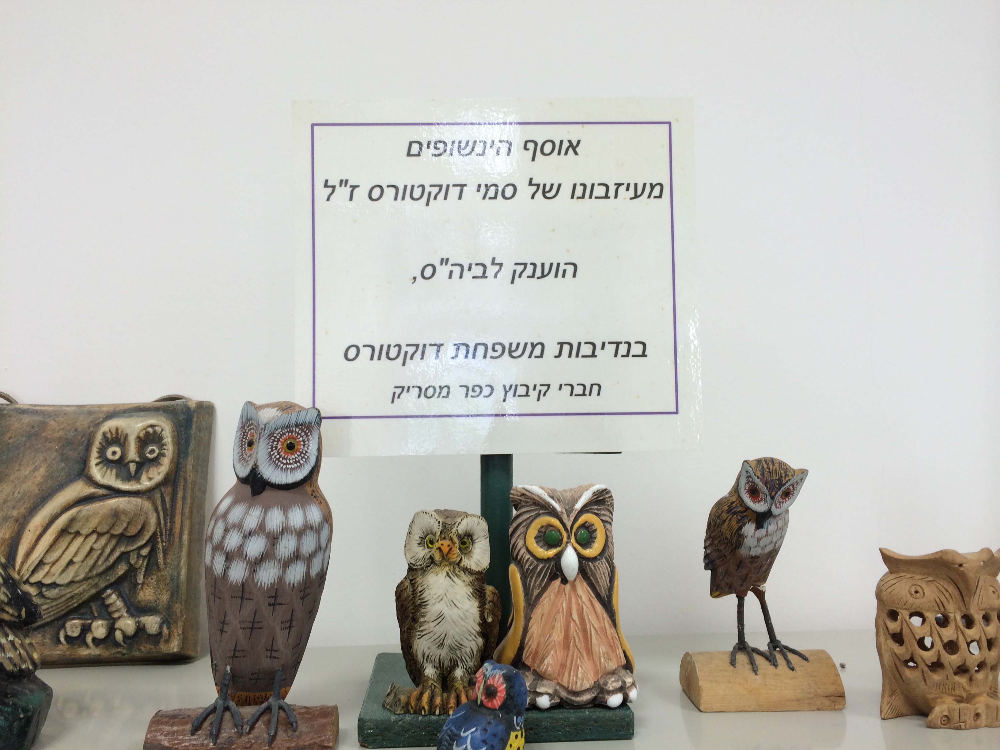 הספריה כפלטפורמה ליצירה – עבודת תלמידי “גוונים” ביצירה מגישות חמדה בן צבי ולאה הלר by leaheller - Ourboox.com