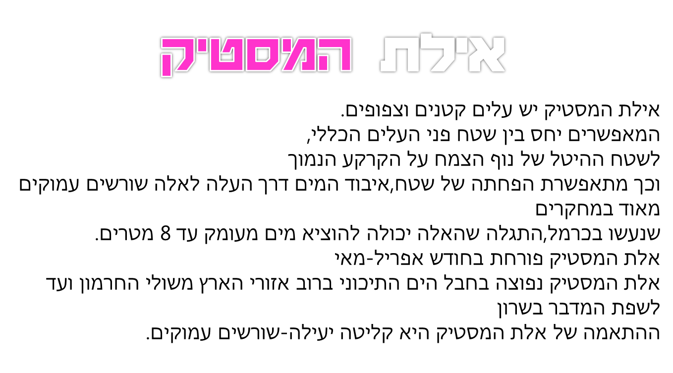 צמחים המותאמים לסביבת יובש- קבוצה ו by nogacohen - Ourboox.com