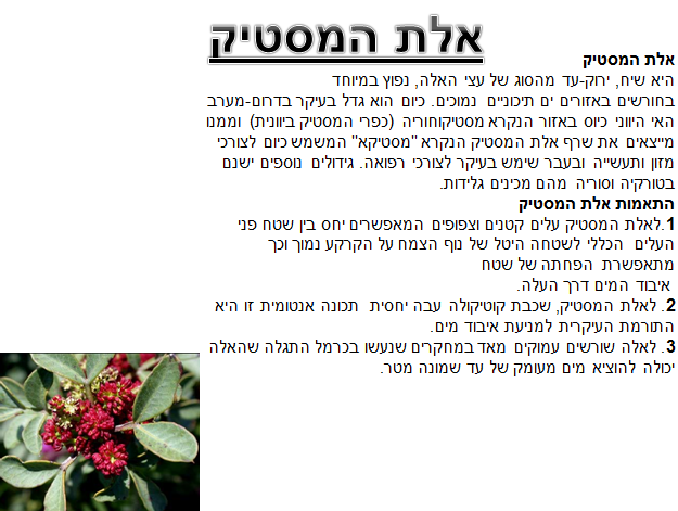 קבוצה ה’ by NIKOL VO - Ourboox.com