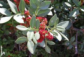 קבוצה ד’ by eden.shalamov - Ourboox.com