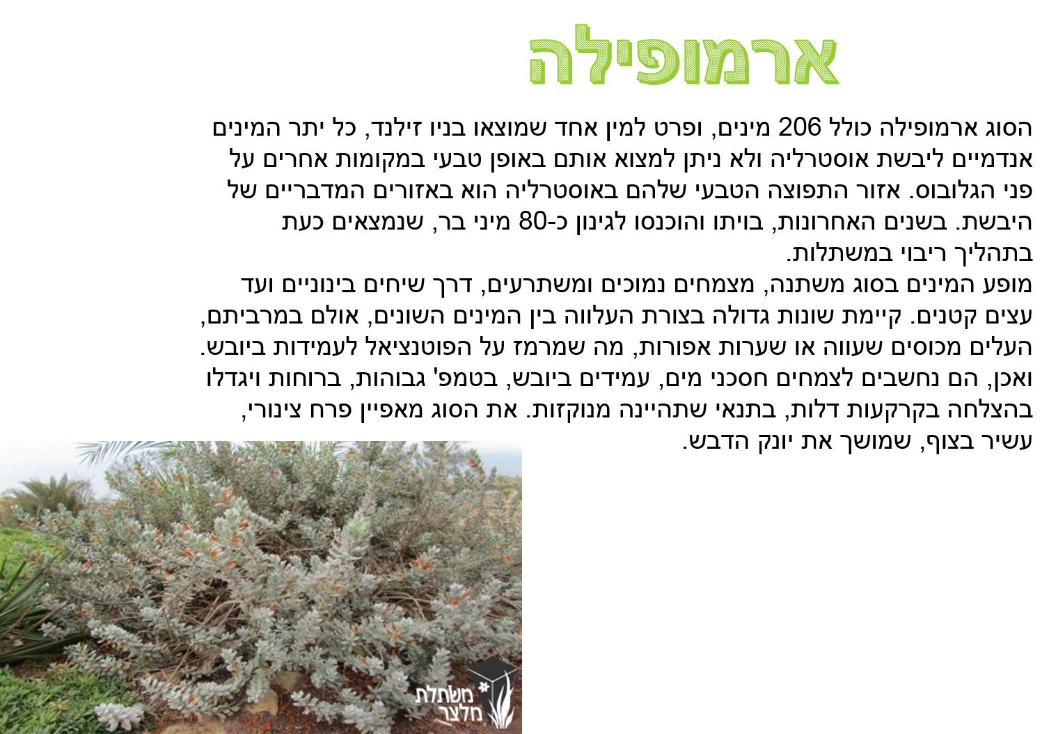קבוצה ד’ by eden.shalamov - Ourboox.com