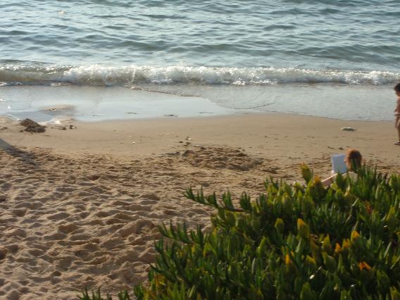 יום השואה by Talia Levi - Ourboox.com