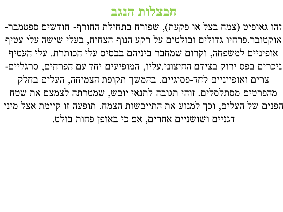 התאמת צמחים לסביבת יובש קבוצה ג’ by lielremnick - Ourboox.com