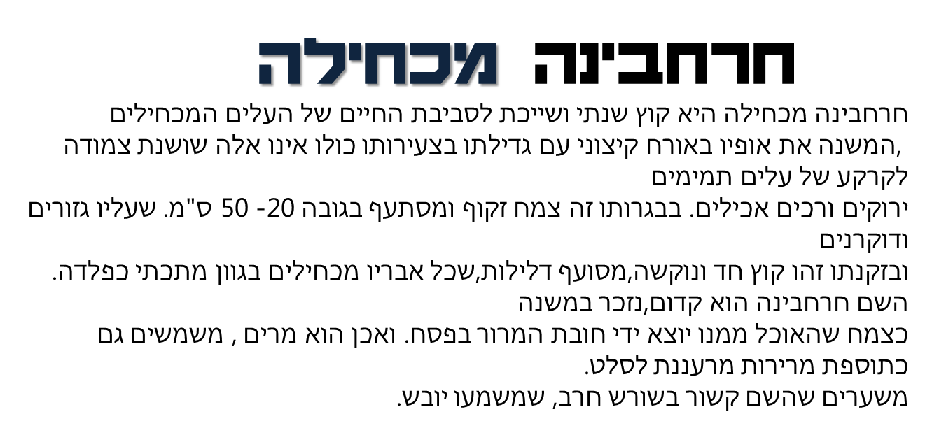 צמחים המותאמים לסביבת יובש- קבוצה ו by nogacohen - Ourboox.com