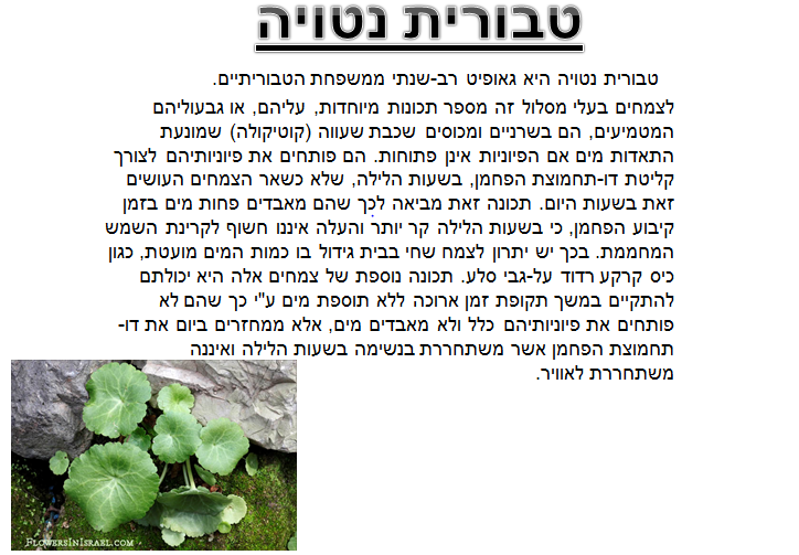 קבוצה ה’ by NIKOL VO - Ourboox.com