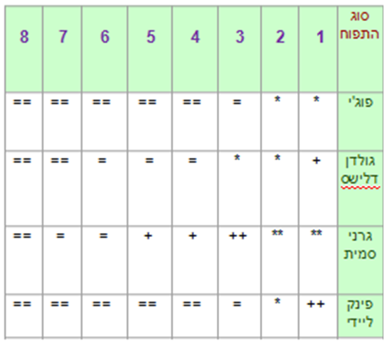 תהליך החקר השלם קבוצת תפוח-מיכל,ענבר,אלמוג,אלון by inbar pollak - Ourboox.com