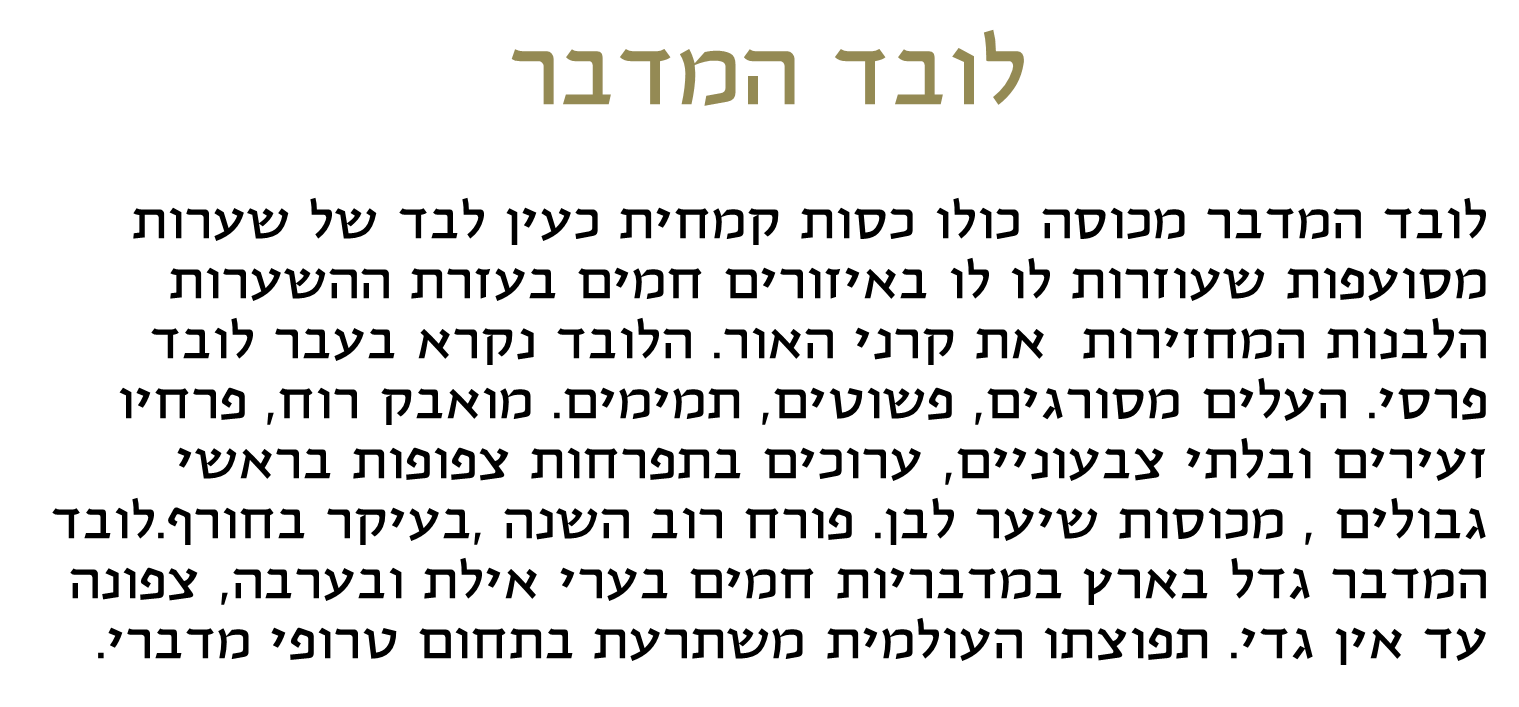 קבוצה ב’ by shiran - Ourboox.com