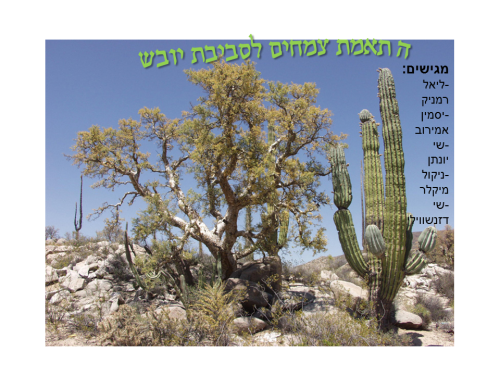 התאמת צמחים לסביבת יובש קבוצה ג’ by lielremnick - Ourboox.com