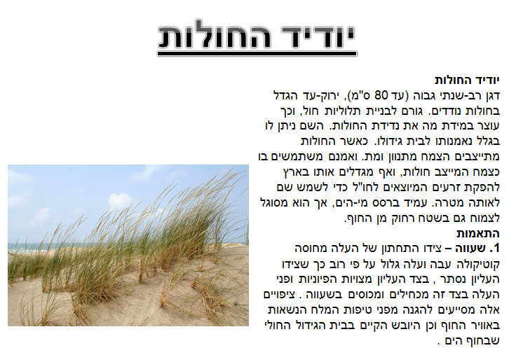 קבוצה ה’ by NIKOL VO - Ourboox.com