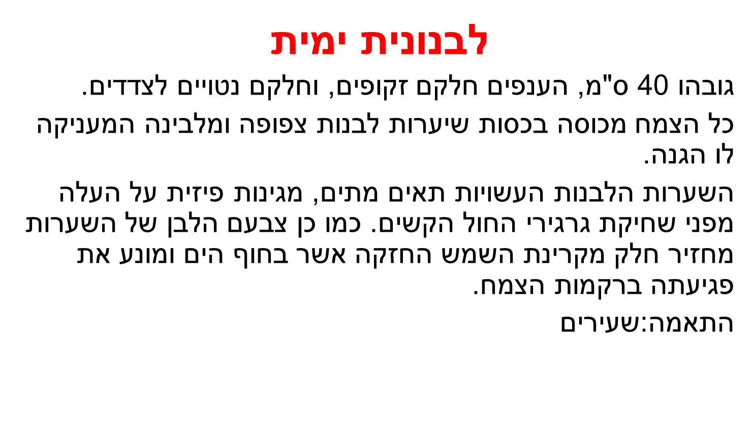קבוצה ד’ by eden.shalamov - Ourboox.com
