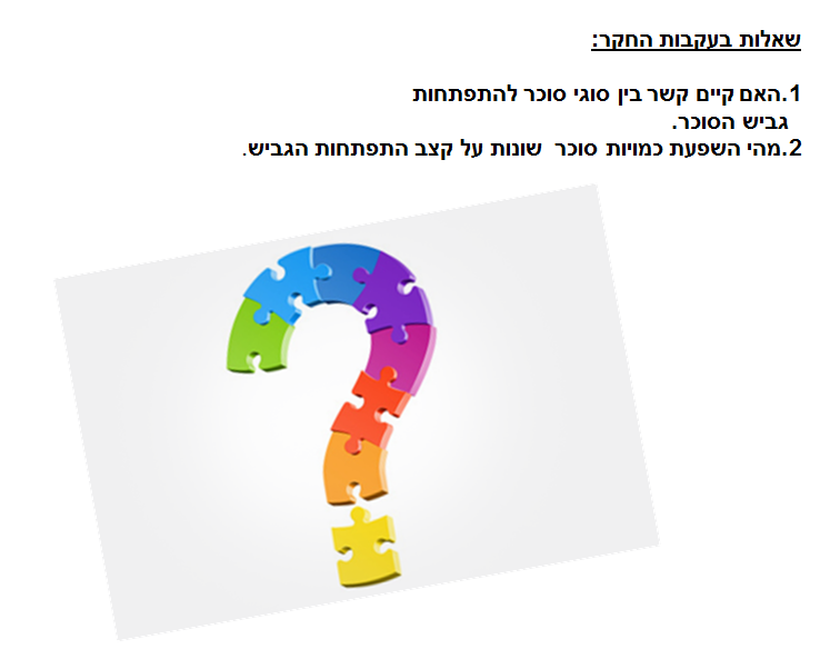 ספר דיגיטלי תהליך החקר השלם שמס רום  שי לירן ועידו by shams safadi - Illustrated by שמס  רום שי לירן ועידו - Ourboox.com