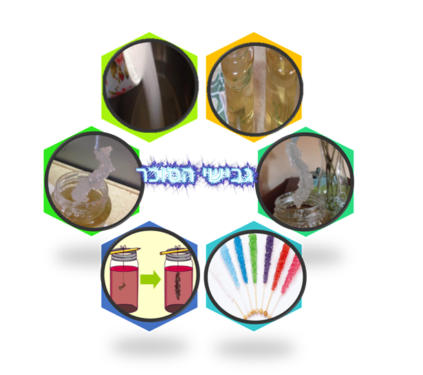 ספר דיגיטלי תהליך החקר השלם שמס רום  שי לירן ועידו by shams safadi - Illustrated by שמס  רום שי לירן ועידו - Ourboox.com