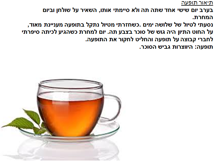 ספר דיגיטלי תהליך החקר השלם שמס רום  שי לירן ועידו by shams safadi - Illustrated by שמס  רום שי לירן ועידו - Ourboox.com