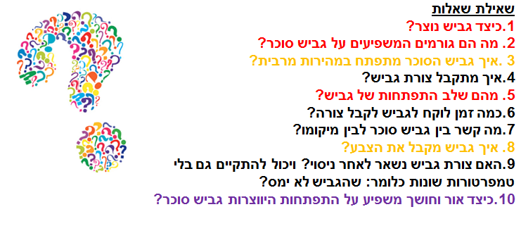ספר דיגיטלי תהליך החקר השלם שמס רום  שי לירן ועידו by shams safadi - Illustrated by שמס  רום שי לירן ועידו - Ourboox.com