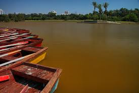 ג’ודי פז-רוטנר מבצע צוק איתן by judi paz rotner - Illustrated by     נערך ונכתב על ידי ג