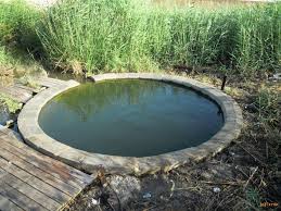 המעיין הפועם by eitan nehoshtan - Ourboox.com